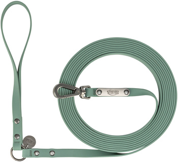 CityStyle, smycz, dla psa, szałwiowa, PVC, S–M: 5 m/13 mm