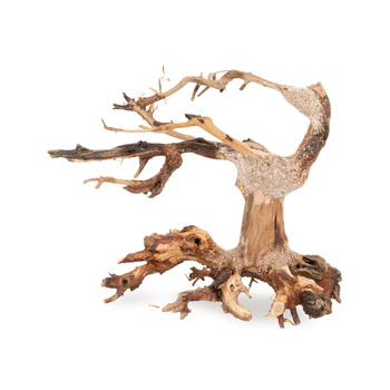 Tonące drzewo Bonsai nr nr 24 20x15