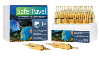 Prodibio Safe Travel 30 amp. probiotyk zmniejsza stres podczas transportu