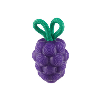 OH DENTAL GRAPES - WINOGRONA