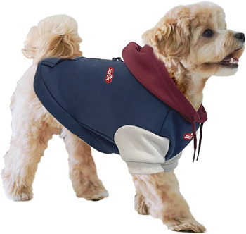 ZOLUX Bluza z kapturem dla psa R.25 niebieska