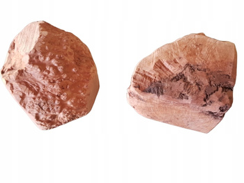 4DOGS GRYZAK DLA PSA Z KORZENIA WRZOŚCA   XXL