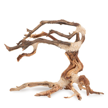 Tonące drzewo Bonsai nr nr 24 35x25