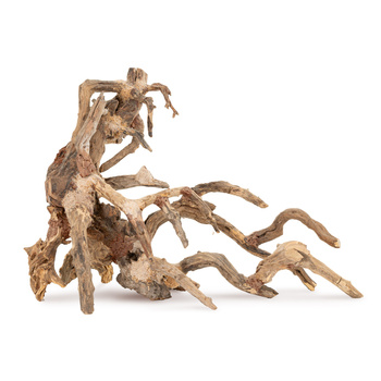 Tonące drzewo Bonsai nr 64 50x40