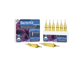 Prodibio Bacter Kit Aragonite 6 ampułek bakterie do podłoży aragonitowych