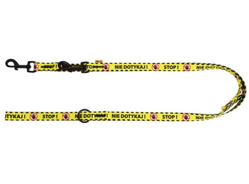 DINGO SMYCZ REG. CITY NIE DOTYKAJ! 2/220cm