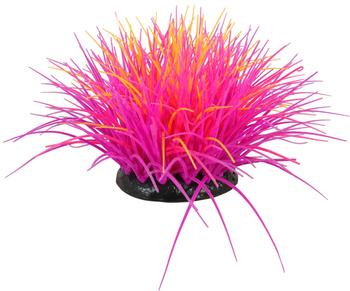 ZOLUX Ozdoba do akwarium FLOWERS 4 fioletowo różowa fluorescencyjna