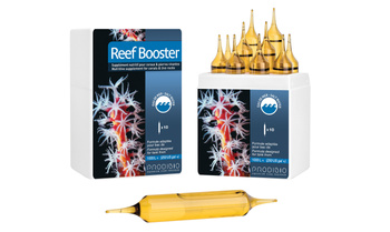 Prodibio Reef Booster PRO 10 ampułek suplement odżywczy akwarium morskie