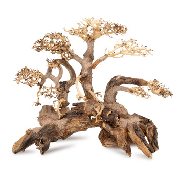 Tonące drzewo Bonsai nr 59 50x40