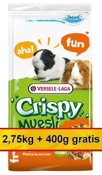 Versele-Laga Crispy Muesli Guinea Pig - pokarm dla świnki morskiej 3,15kg (2,75+0,4kg gratis)