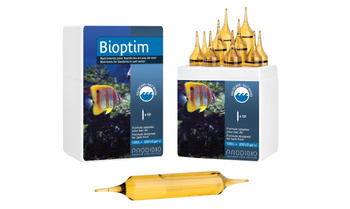 Prodibio Bioptim PRO 10 amp. mikroelementy dla bakterii w BioDigest akw. morskie
