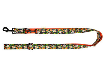 DINGO SMYCZ REG. CITY CHIAPAS  3,0 x 220cm