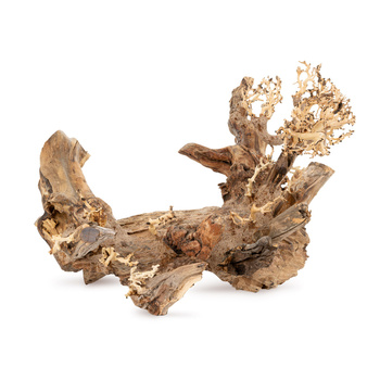 Tonące drzewo Bonsai nr 50 50x40