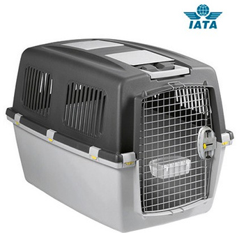 ZOLUX Transporter dla psa o wadze 35-40 kg GULLIVER 6 IATA