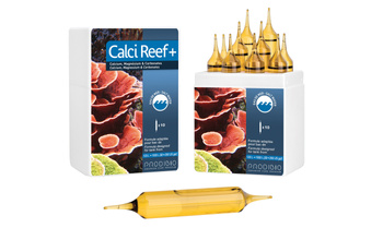 Prodibio Calci Reef+ 10 ampułek hydrożel wapń magnez akwarium morskie
