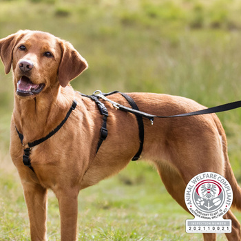 TX-13093 SZELKI STAY ANTYUCIECZKOWE M-L   20mm/50-75cm