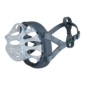 BASKERVILLE INVISA 5
